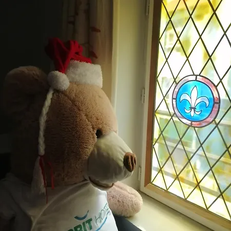 Brit Comtes De Champagne - Centre Historique Troyes